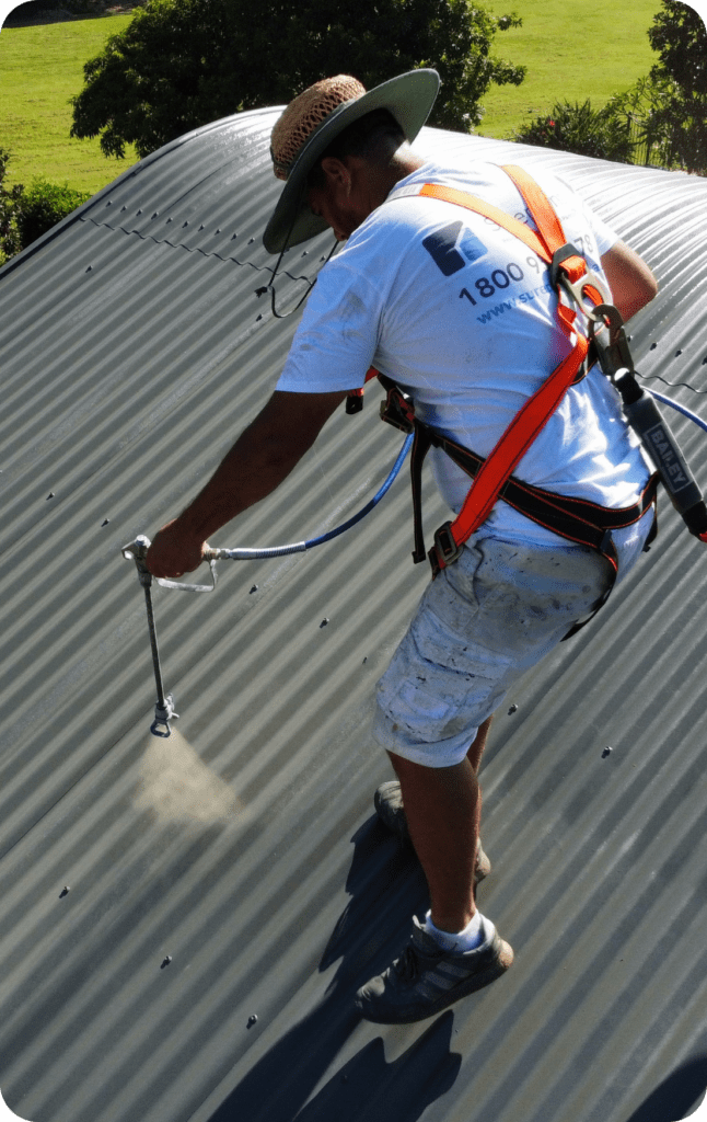 Roof Painting