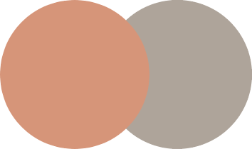 Cost to Paint a Rendered House in Brisbane 2025